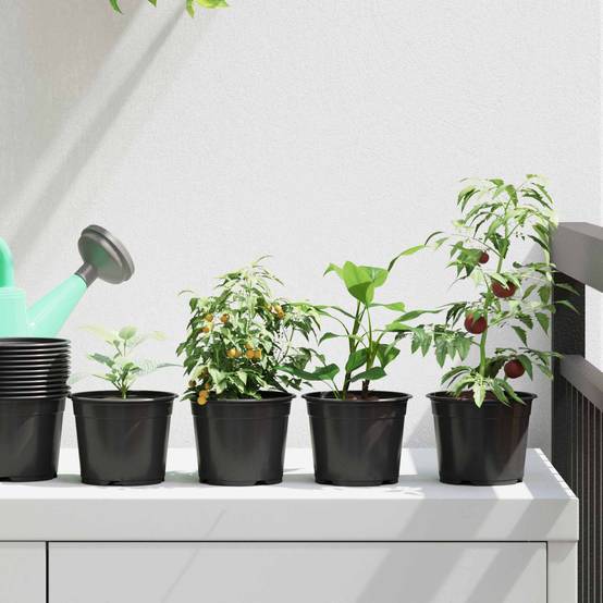 Lot de 100 Pots de Culture Plastique pour Semis Intérieur Extérieur Drainage 10x8 cm Noir - ComfortXL Outdoor Living - Image 1