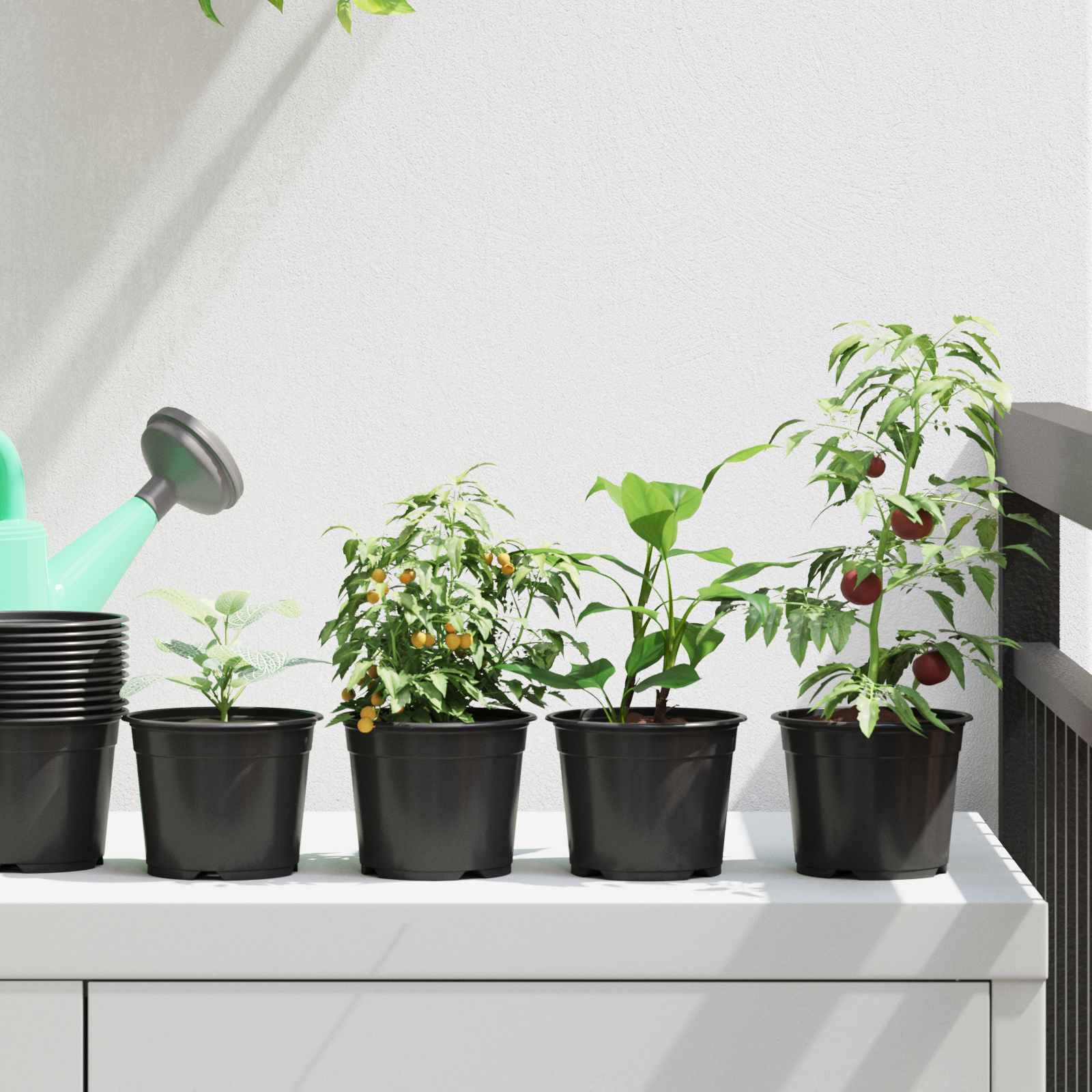 Lot de 100 Pots de Culture Plastique pour Semis Intérieur Extérieur Drainage 10x8 cm Noir - ComfortXL Outdoor Living - Image 1