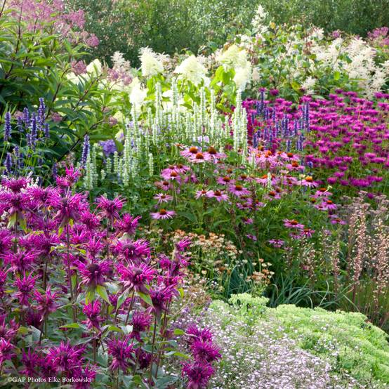 Promesse de Fleurs - Massif estival - Collection de 10 plantes - Image 1