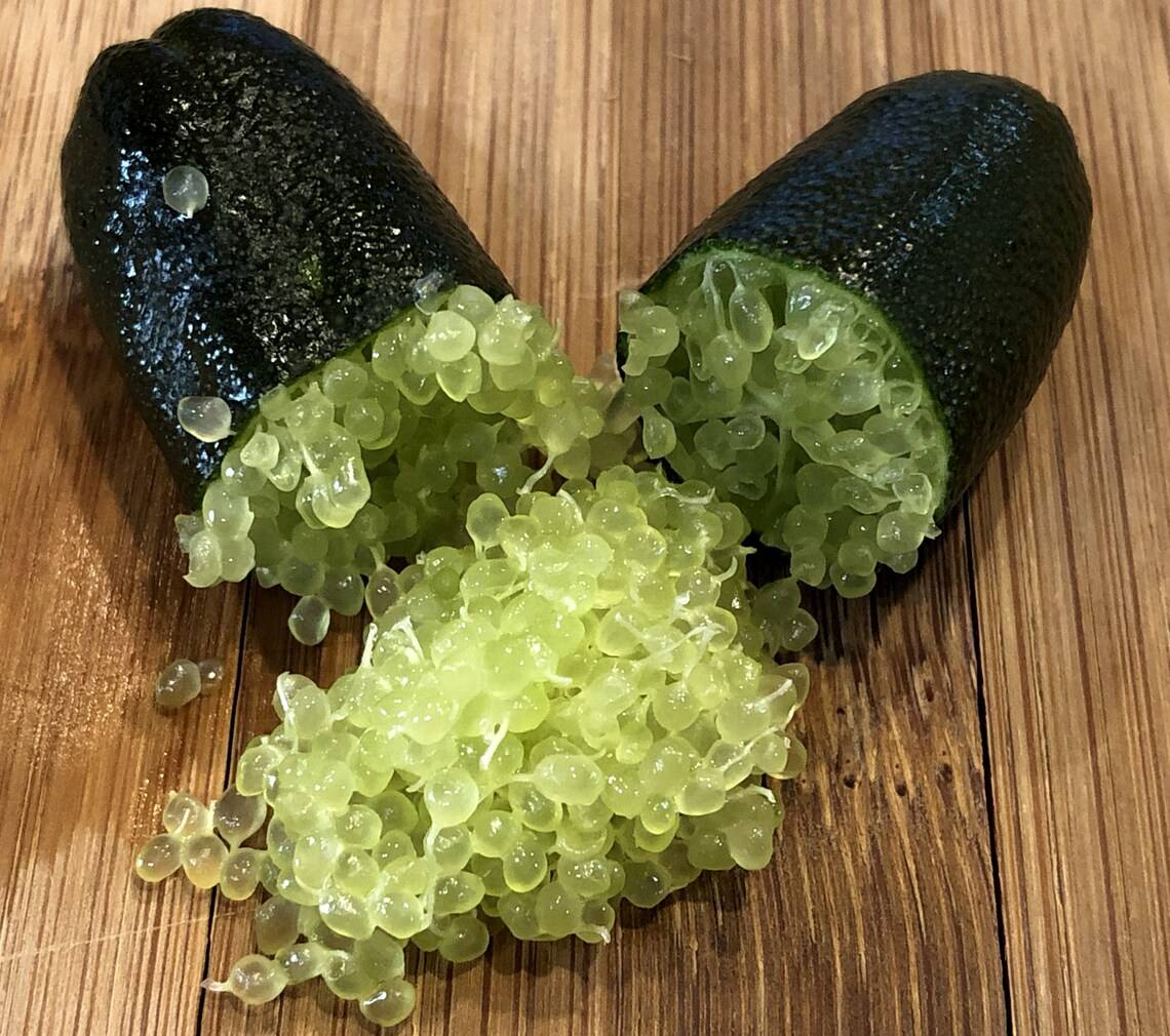 0 - Microcitrus australasica pulpe verte (Caviar de citron) Pot de 9 litres -140/160 cm - Image 2