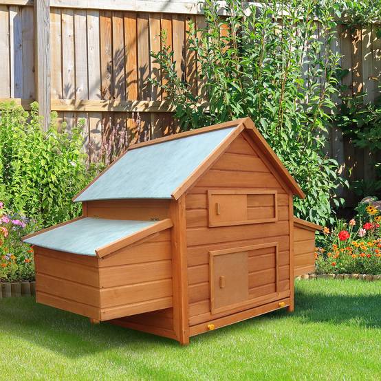 ComfortXL - Poulailler bois sapin extérieur 2 à 4 poules double pondoir 160x98cm vert - ComfortXL Outdoor Living - Image 4