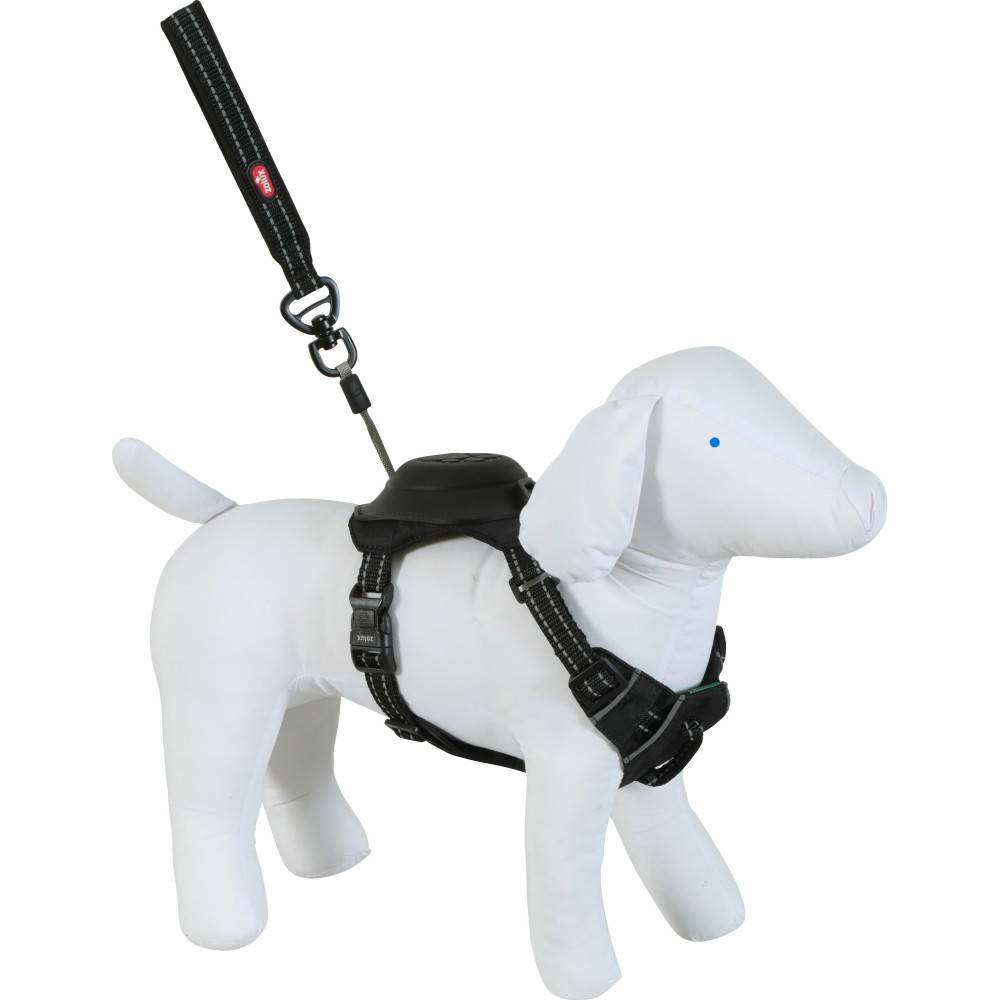 Zolux - Harnais et laisse enrouleur intégré S noir pour petit chien max 12 kg - Image 2