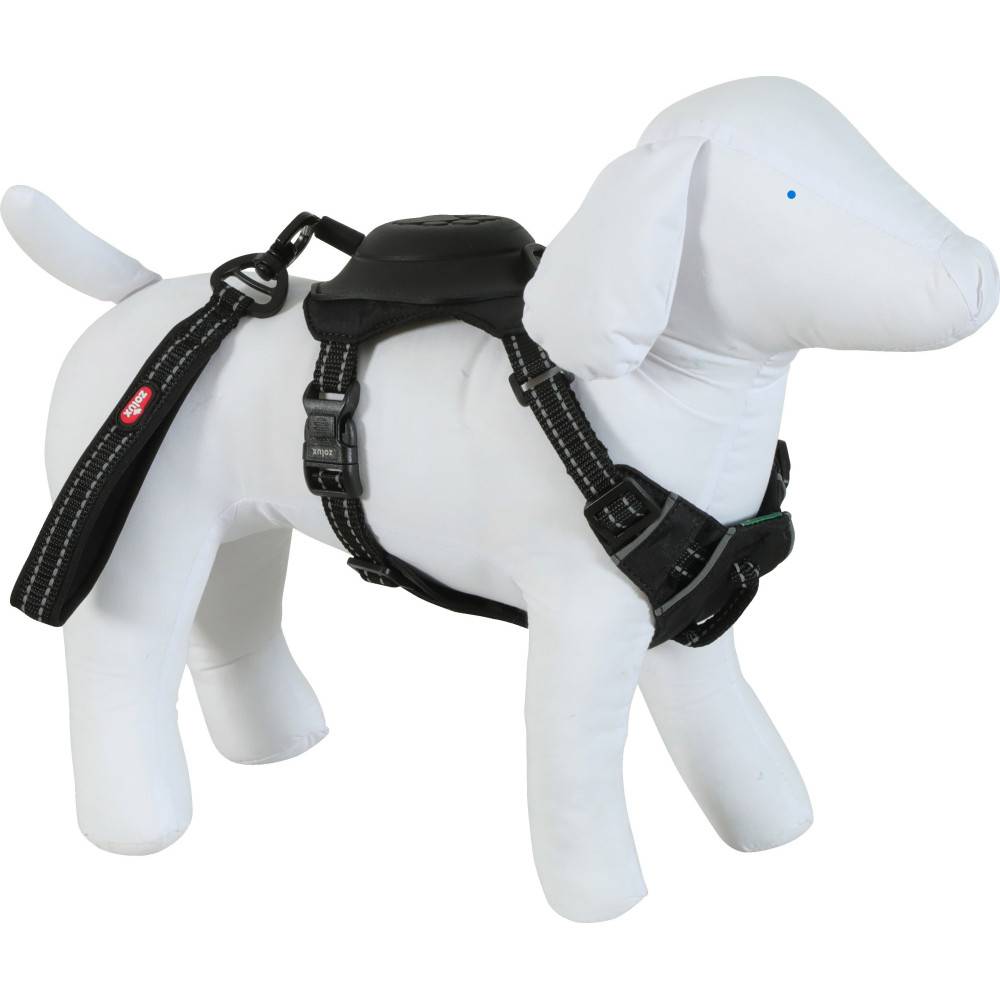 Zolux - Harnais et laisse enrouleur intégré S noir pour petit chien max 12 kg - Image 1