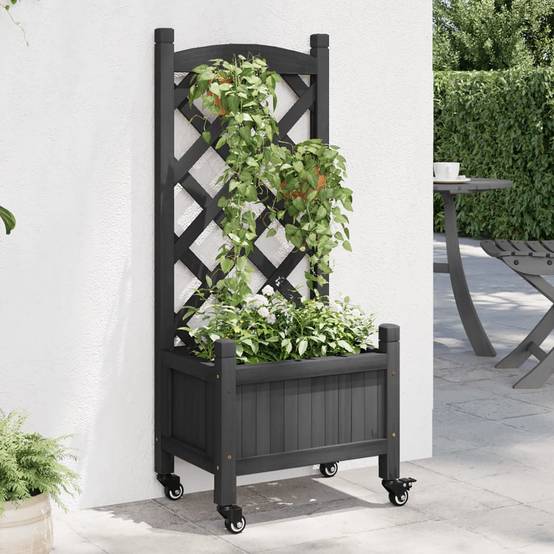 Jardinière avec treillis bois de sapin noir 40 x 30 x 97.5 cm - PANGIVO - Image 1