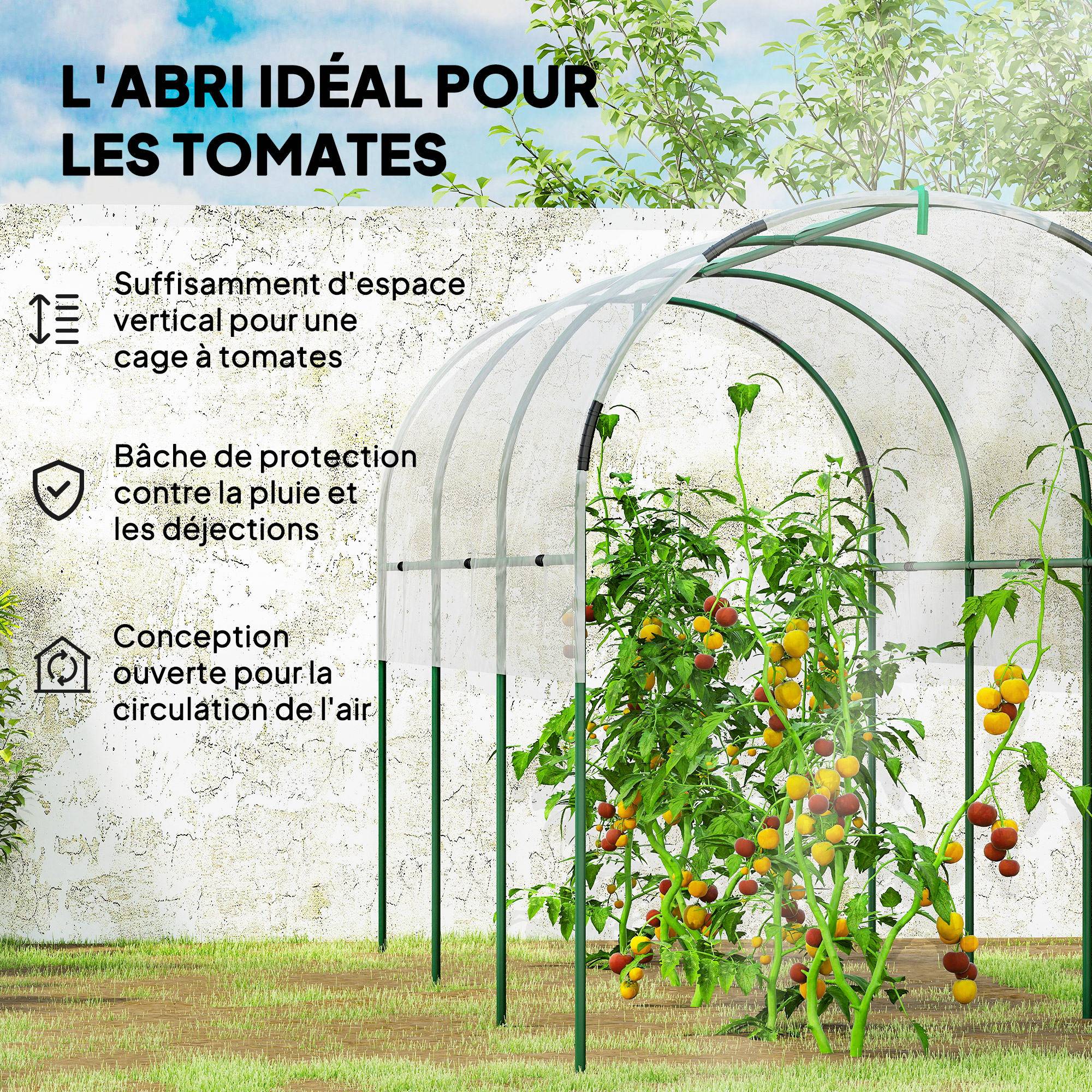 ComfortXL - Serre tunnel jardin acier PVC 400 x 120 x 170 cm transparente pour tomates protection - ComfortXL Outdoor Living - Image 6