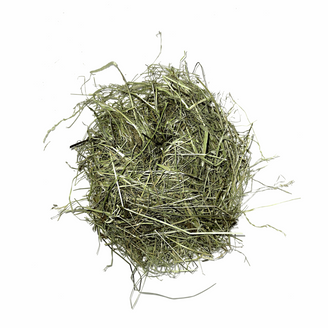 Foin bio de Normandie - Alimentation pour lapins et rongeurs - 100% naturel - L'Eden des Pattounes