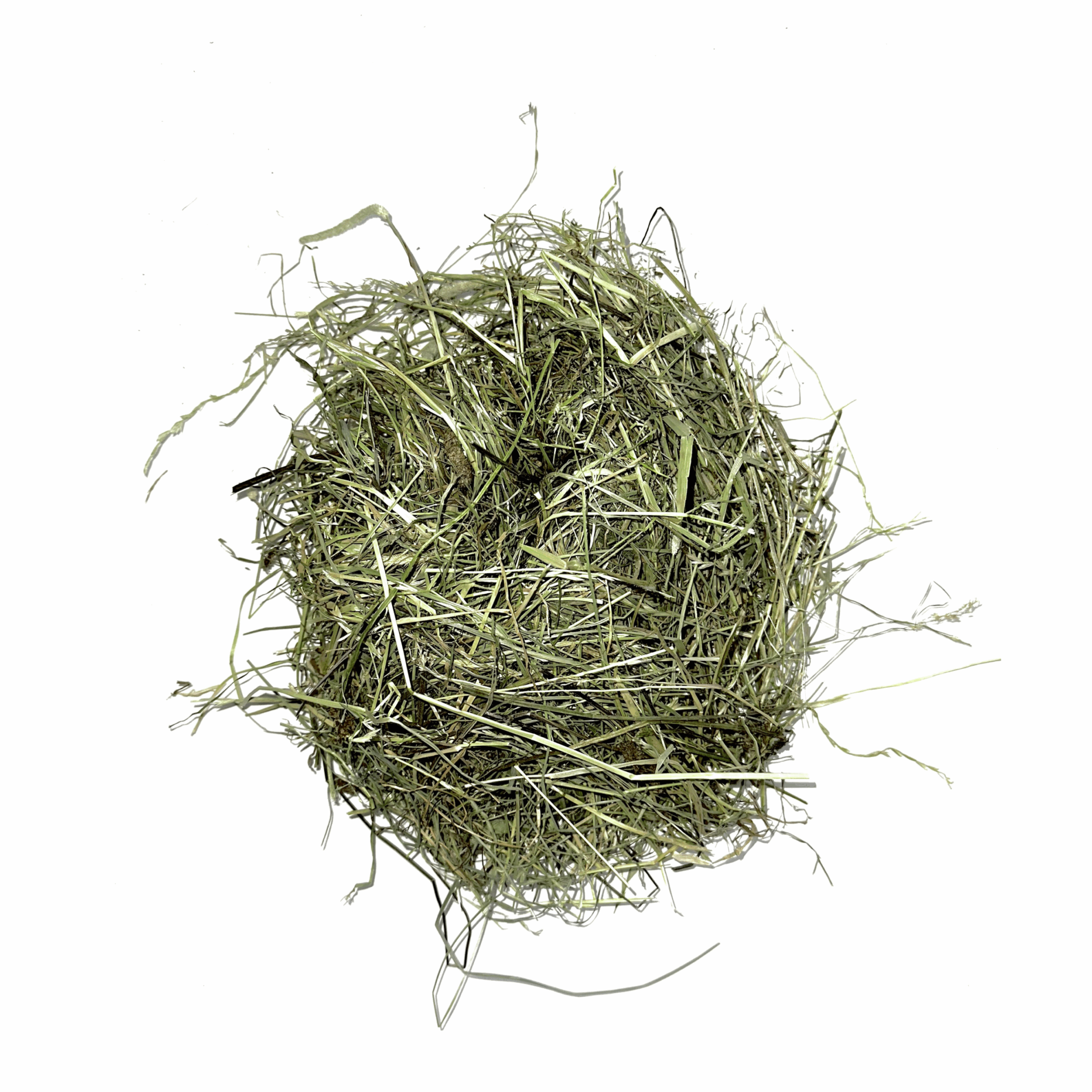 Foin bio de Normandie - Alimentation pour lapins et rongeurs - 100% naturel - L'Eden des Pattounes - Image 1