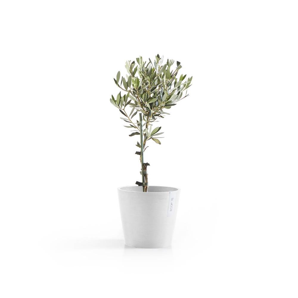 Ecopots - Pot Rond Amsterdam 20 Blanc Pur - Ø 20 x H. 17,5 cm - 4 L ECOPOTS - Image 3
