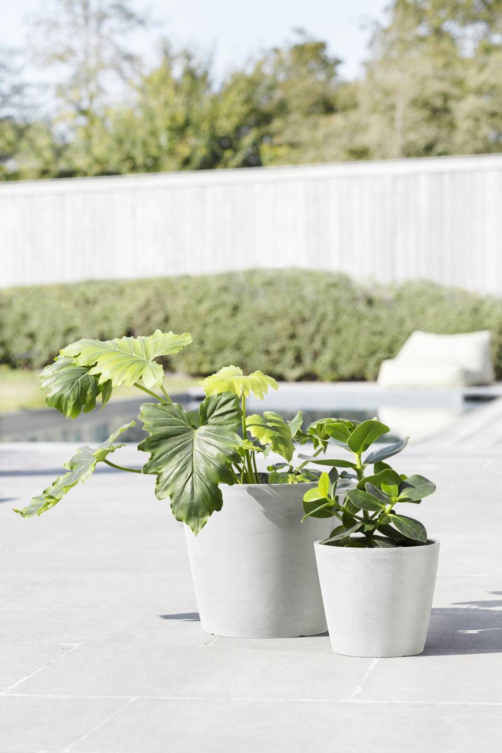 Ecopots - Pot Rond Amsterdam 20 Blanc Pur - Ø 20 x H. 17,5 cm - 4 L ECOPOTS - Image 4