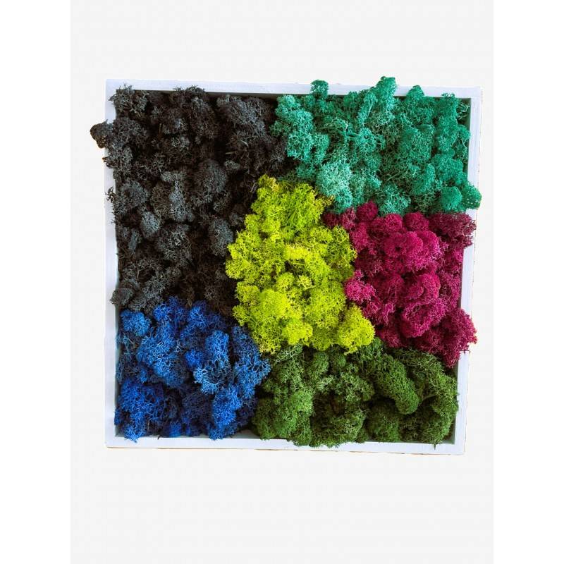 Tableau végétal stabilisé Karafuru- tableau végétal - décoration d'intérieur - 35*35 cm