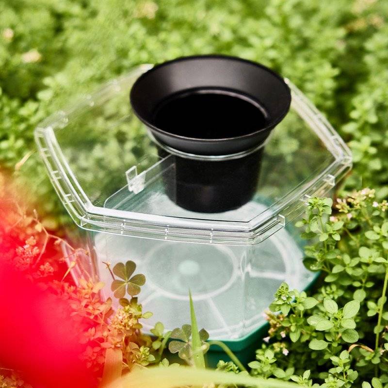 Master Trap - Pack anti‑moustiques jardin – HEXATRAP BY FAVEX - HexaTrap CO2 + 2 HexaCatch – Action extérieure – Gel attractif inclus 4 mois - Image 7