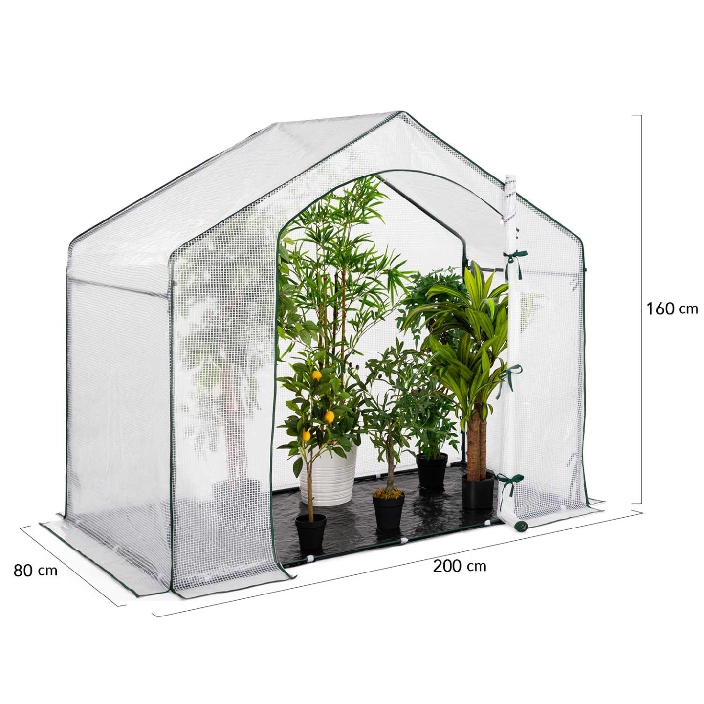 IDMARKET - Serre d'hivernage maison 200 x 80 x 160 cm balcon et terrasse - Image 4
