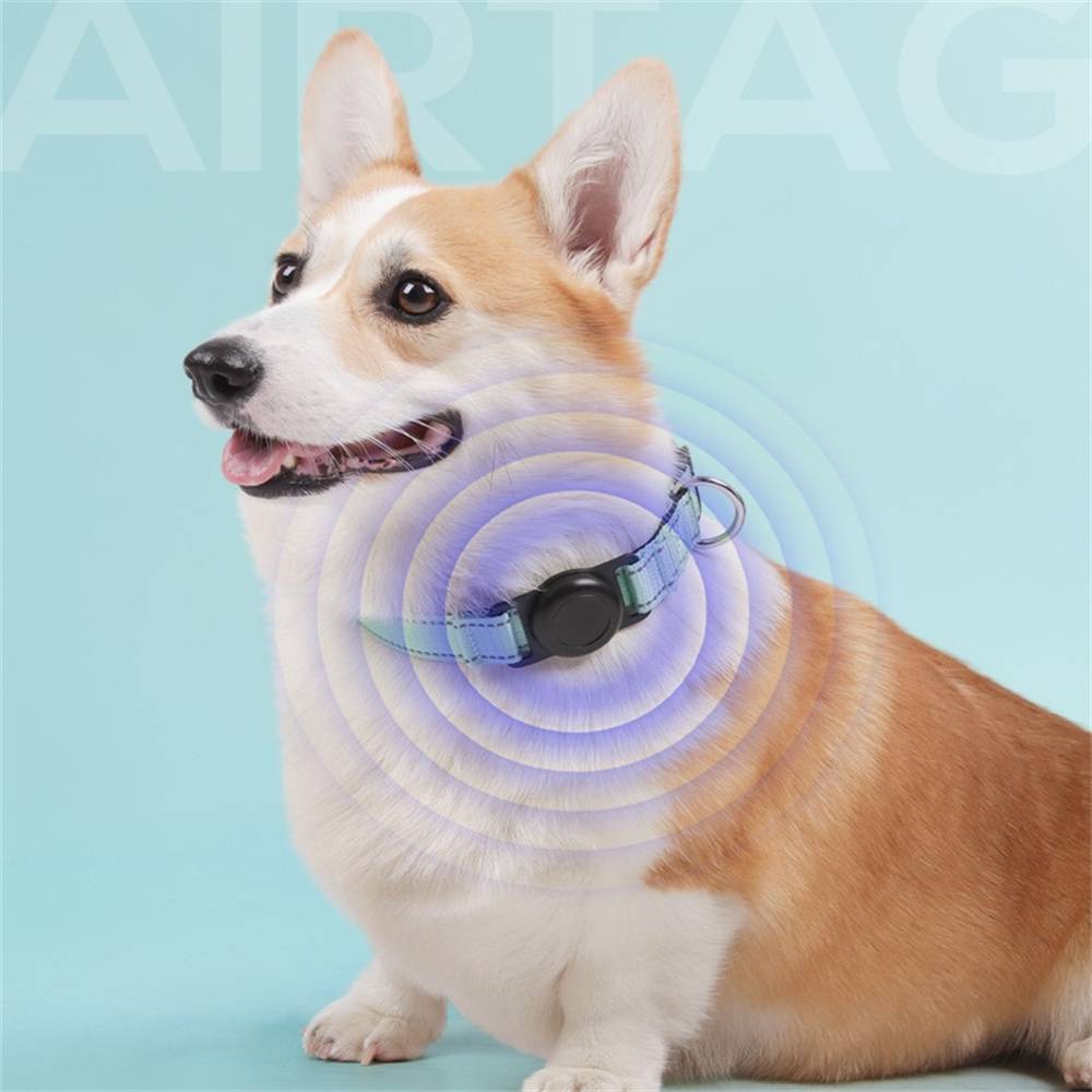 Collier GPS pour chien DtopbuyAge - Image 2
