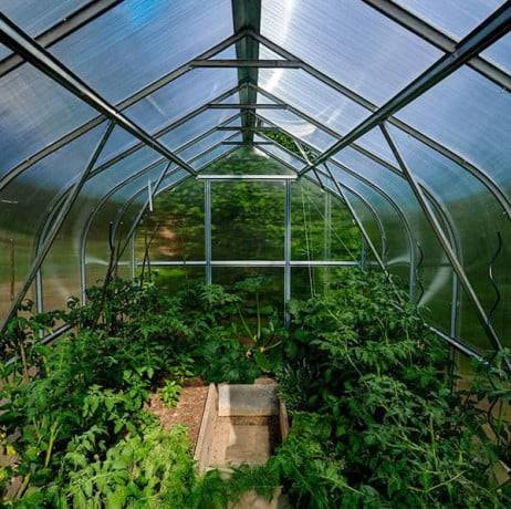 Serre de jardin polycarbonate 2,5 x 8 m (20 m²) 6 mm 4 volets automatiques - Klasika - Image 8