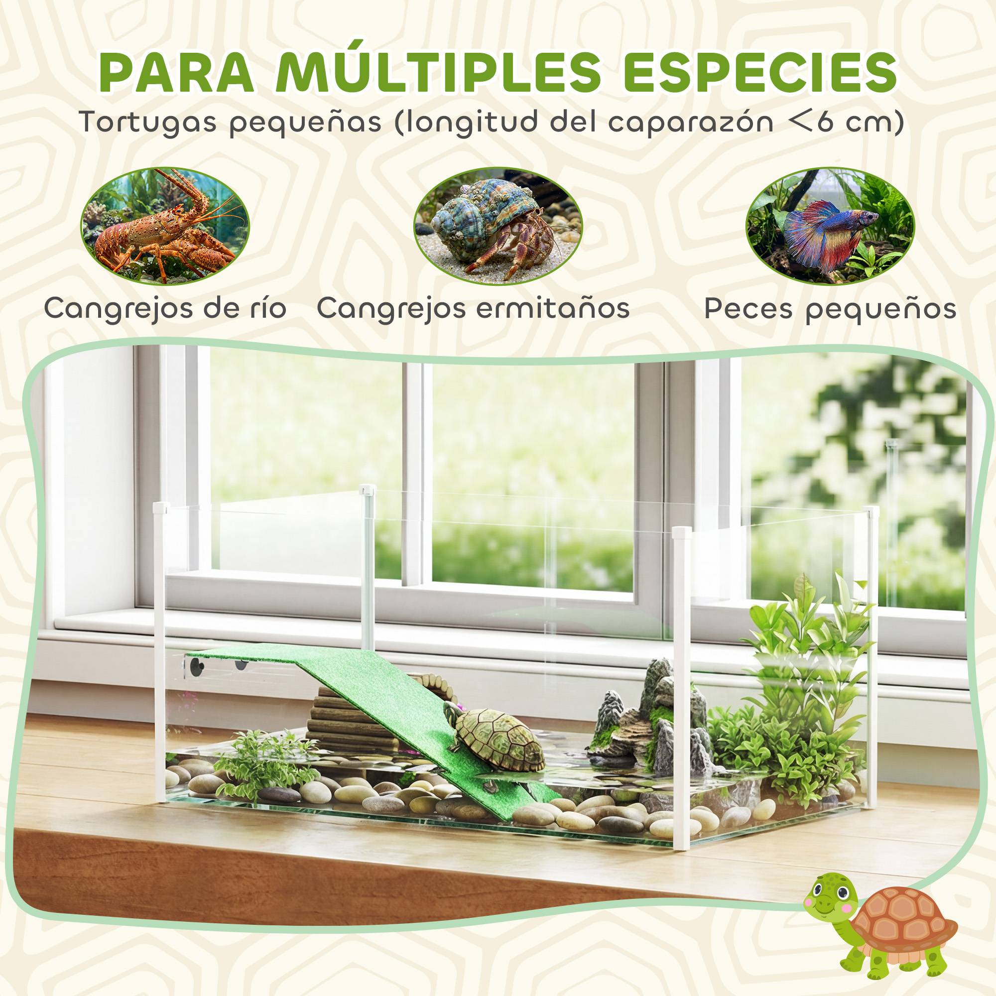 Aquarium pour tortues, terrarium avec plateforme, rampe et vue panoramique 360°, 60x35x28 cm, blanc - Image 9