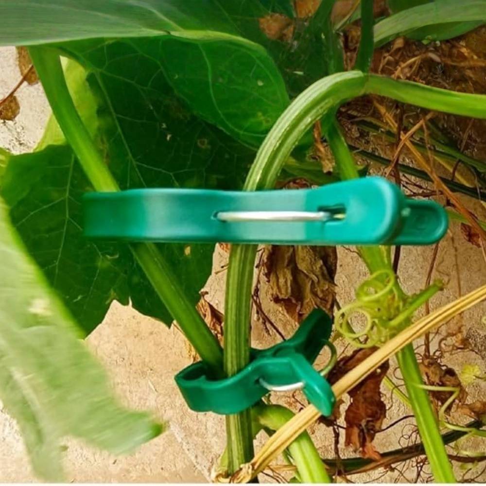 IntiMeg Clips de support pour plantes de jardin - Image 3