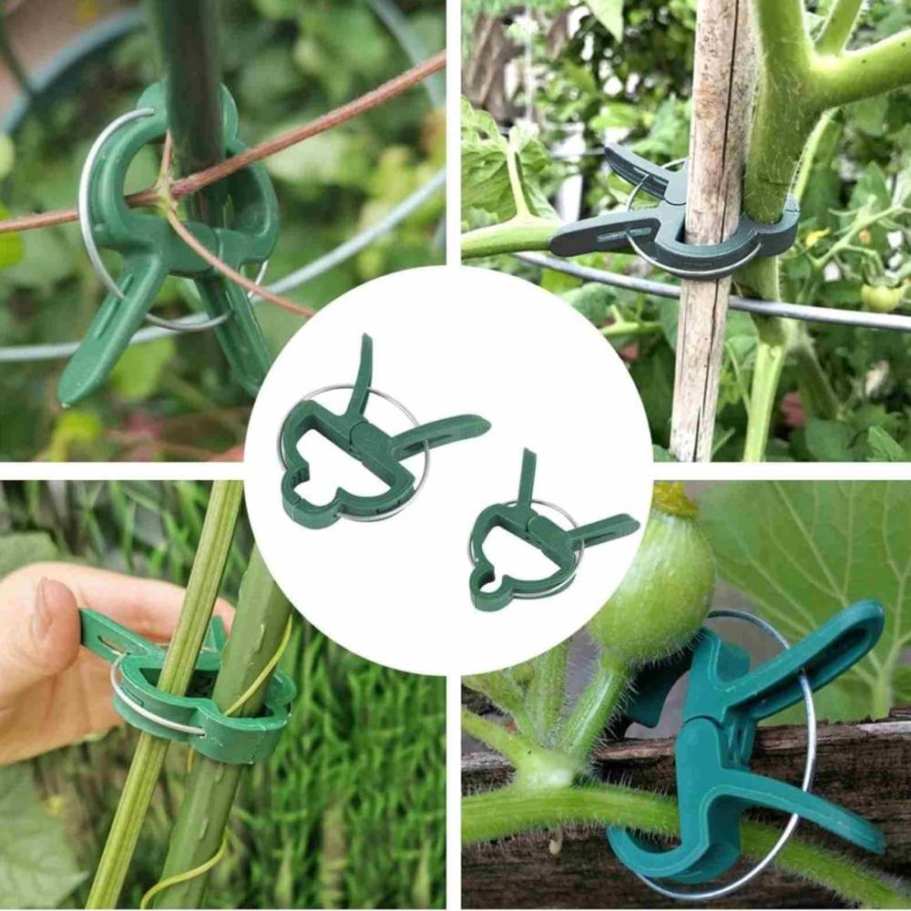 IntiMeg Clips de support pour plantes de jardin - Image 4