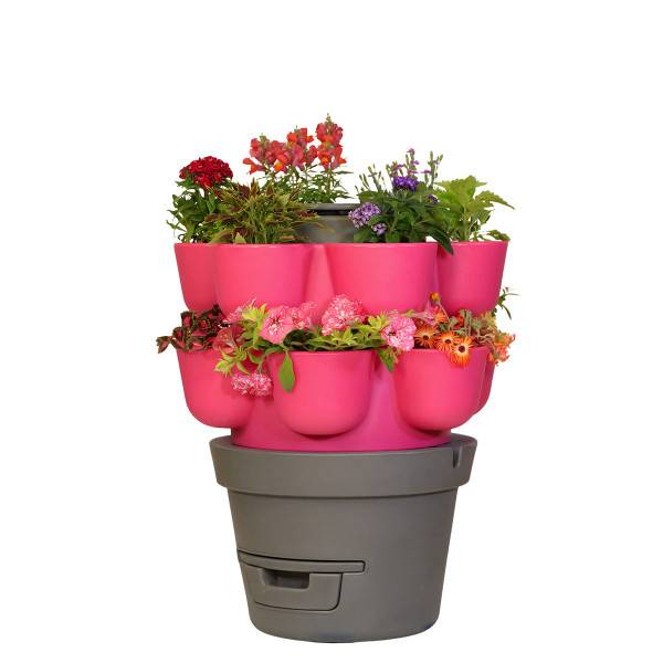 Ferme Du Moutta - WORMgarden Fuchsia 2 jardinières - Image 1