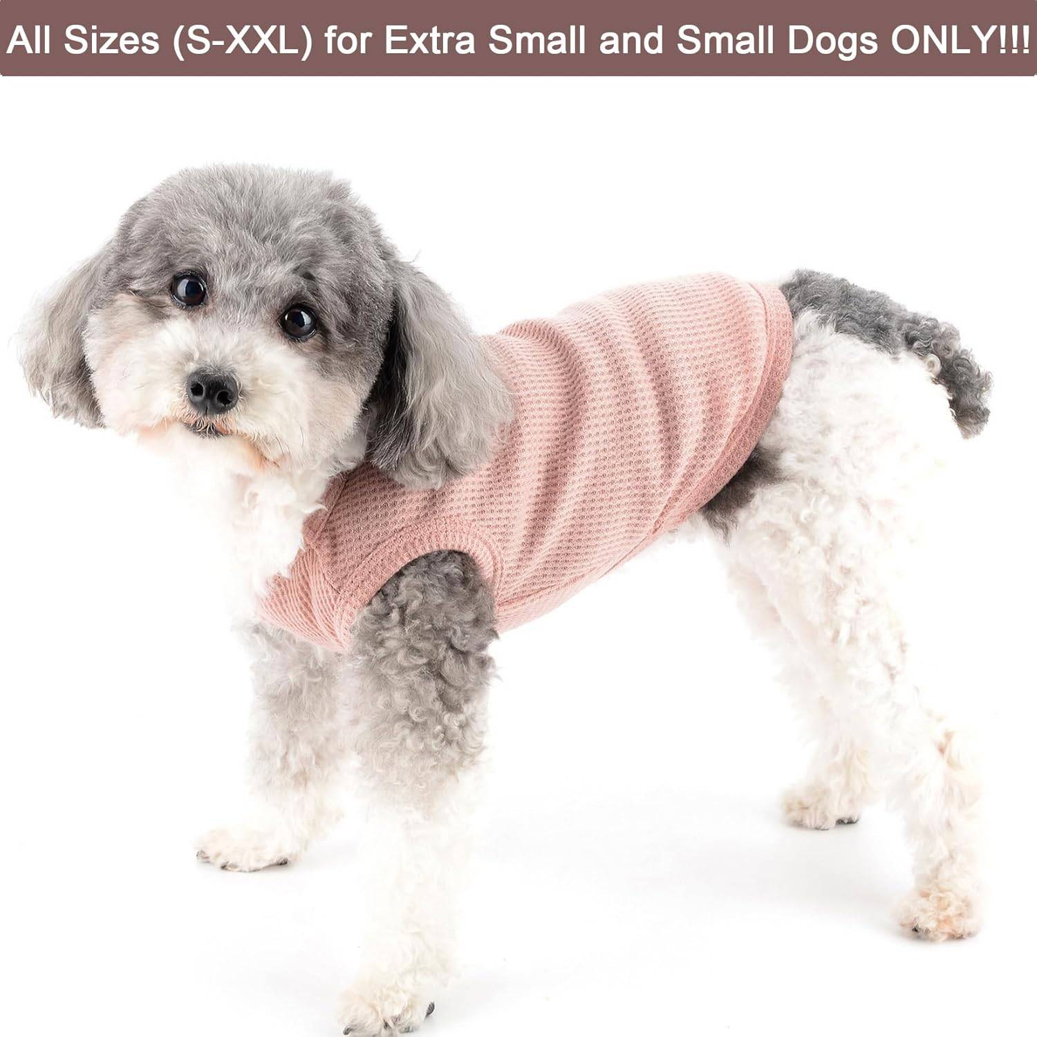 DtopbuyAge - shirt sans manches pour petit chien L DtopbuyAge - Image 2