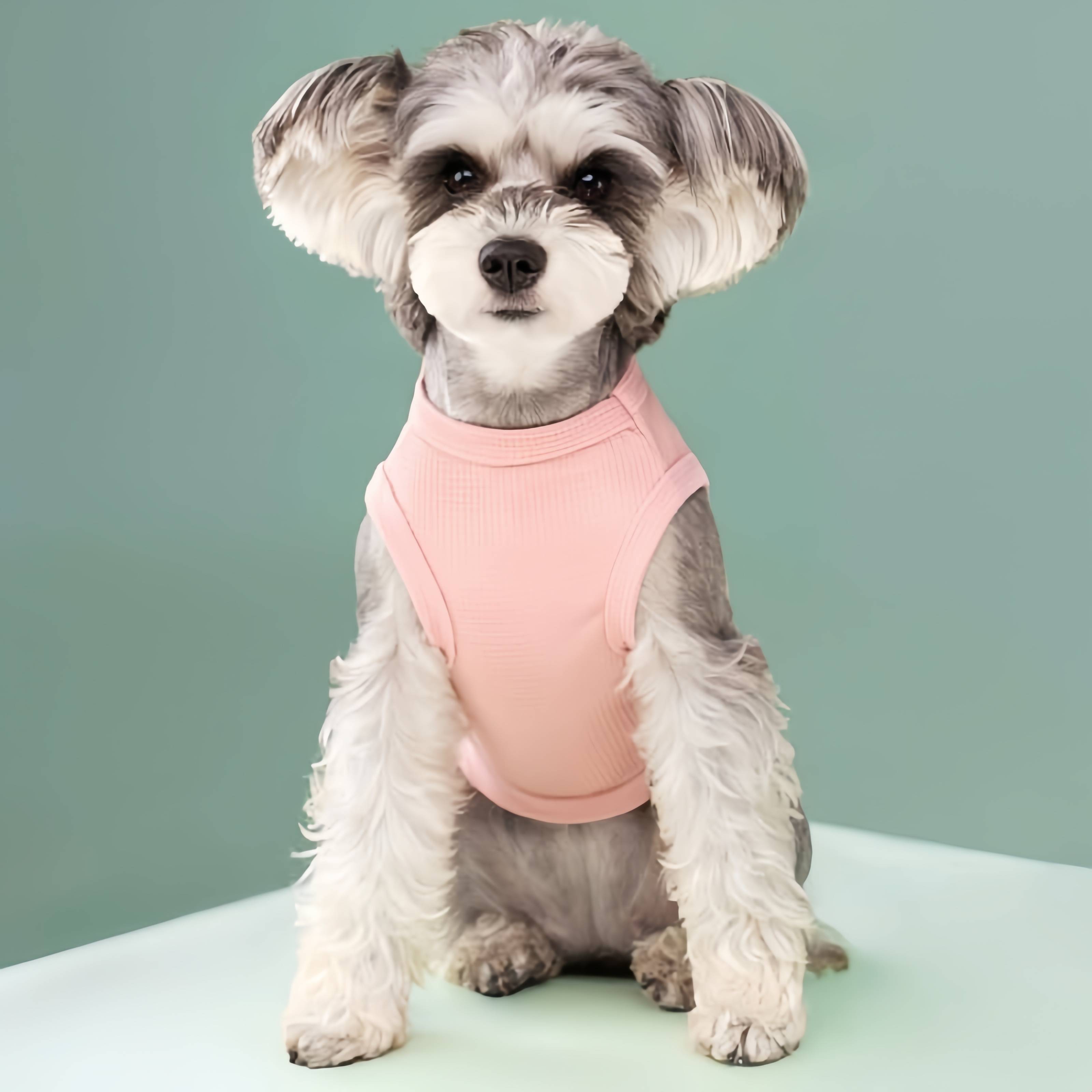 DtopbuyAge - shirt sans manches pour petit chien L DtopbuyAge - Image 5