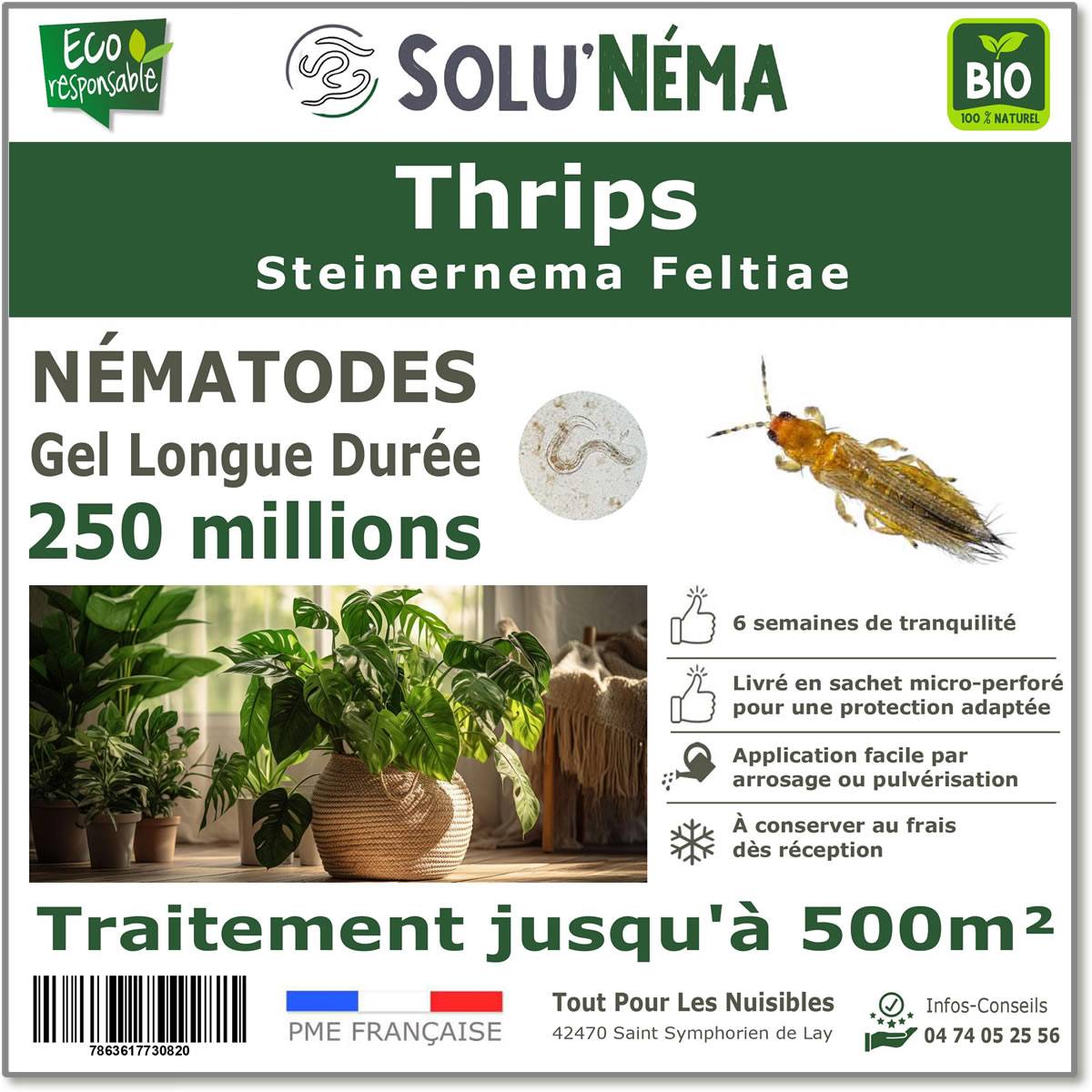 Solunéma - Thrips - Traitement à base de nématodes Steinernema Feltiae (SF) - 250 millions pour traiter jusqu'à 500 m²