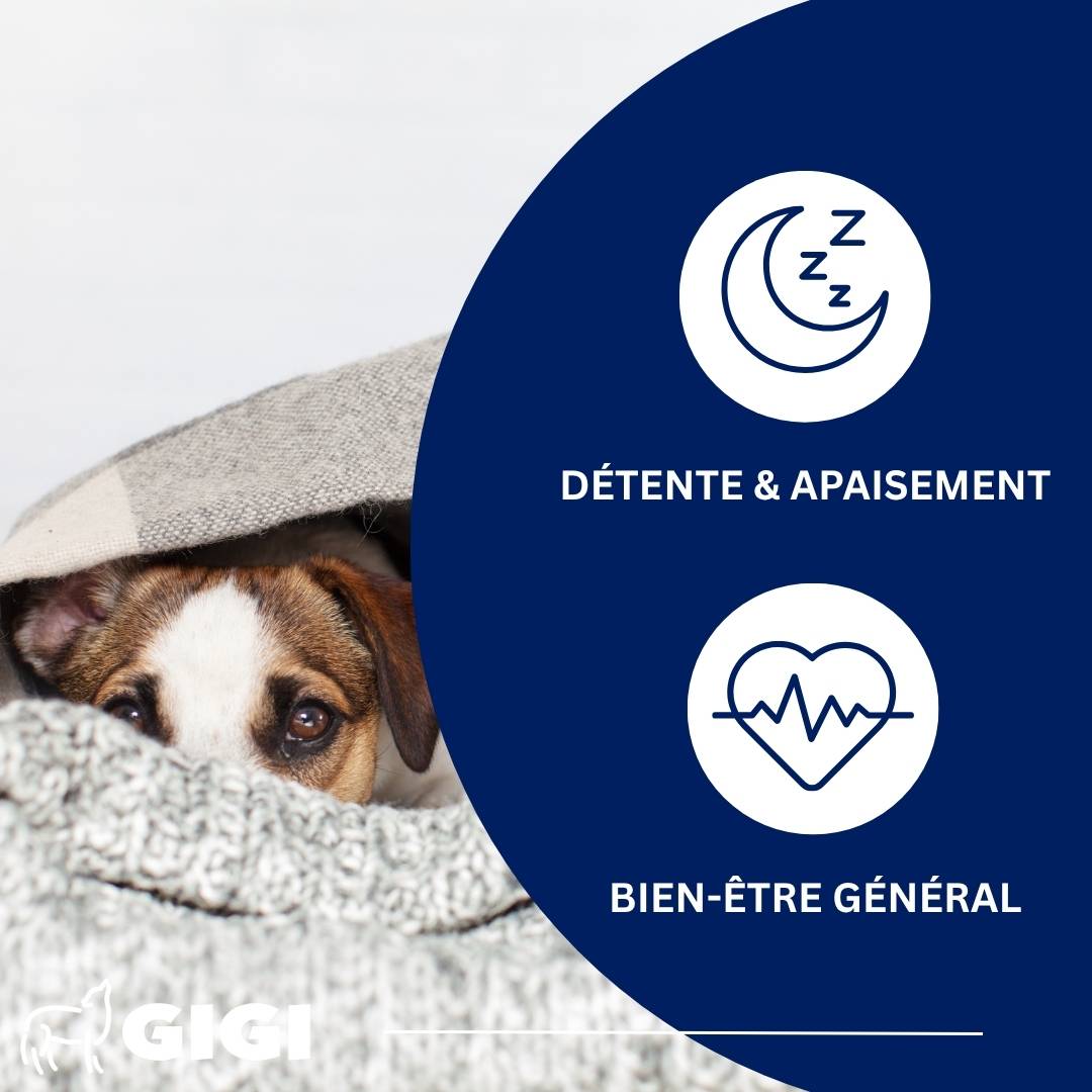 Stress Control Chiens et Chats 90 comprimés GIGI VET - Image 3