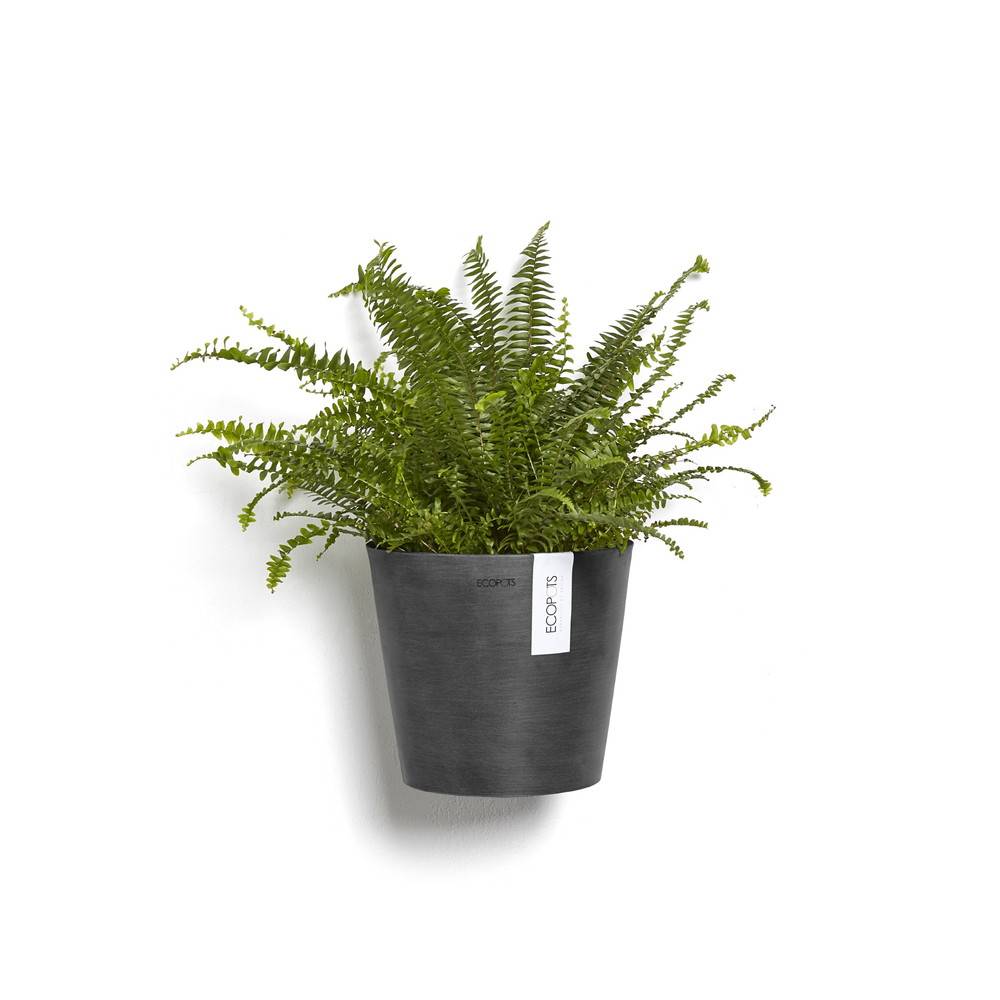 Ecopots - Pot suspension mural Amsterdam Wall Gris Foncé - Ø 20 x H. 17,5 cm - 4 L ECOPOTS - Image 2