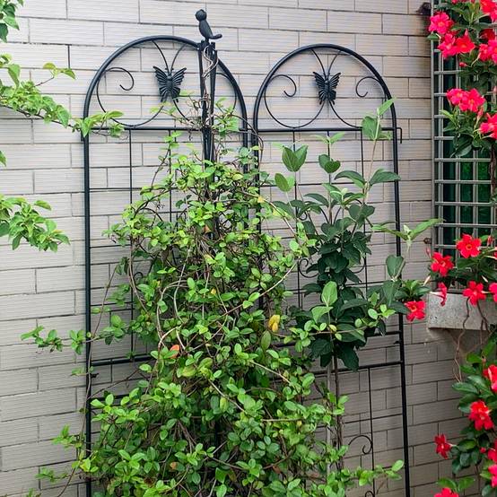 Grille jardin métal noir 50 x 2 x 180 cm - PANGIVO - Image 5