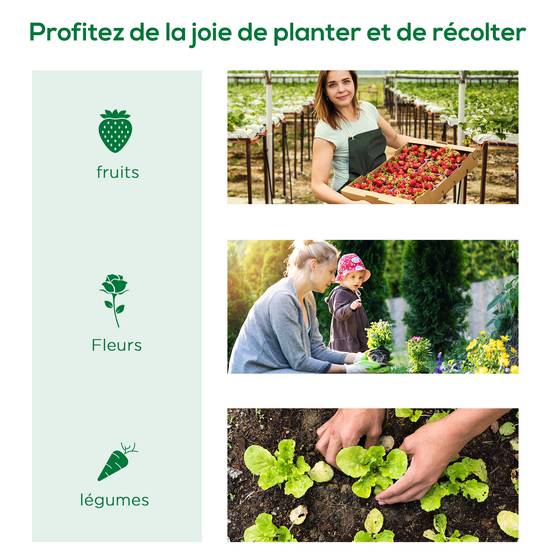 Serre de jardin tunnel basse acier petits espaces culture potager 5 fenêtres 300x80x45cm vert - ComfortXL Outdoor Living - Image 9