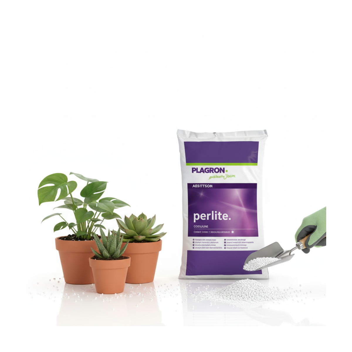 Plagron - Perlite 60 litres - Image 4
