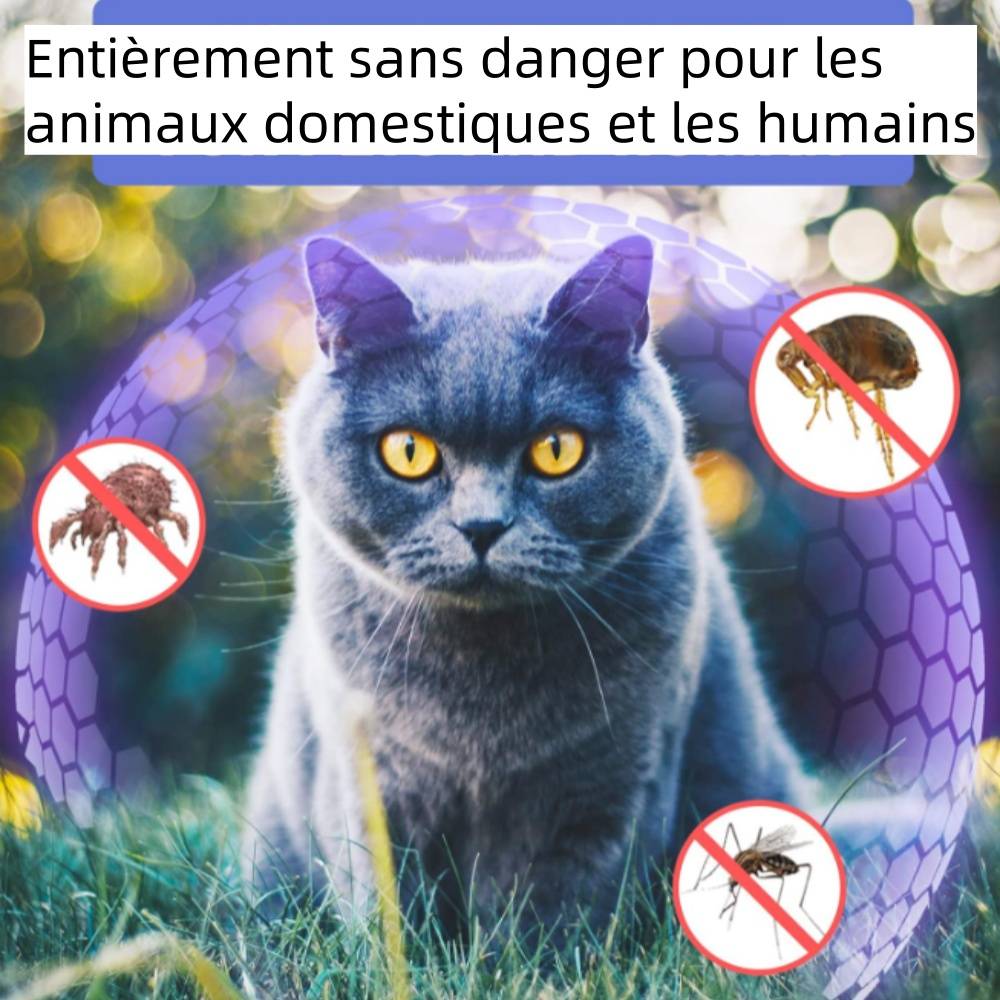 DtopbuyAge - Collier anti-insectes réglable pour chat DtopbuyAge - Image 2
