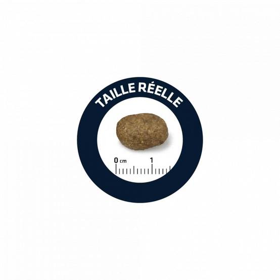 CROQUETTES CHIEN SENSITIVE MEDIUM / MAXI SAUMON RIZ - ADVANCE 3 kg - Image 2