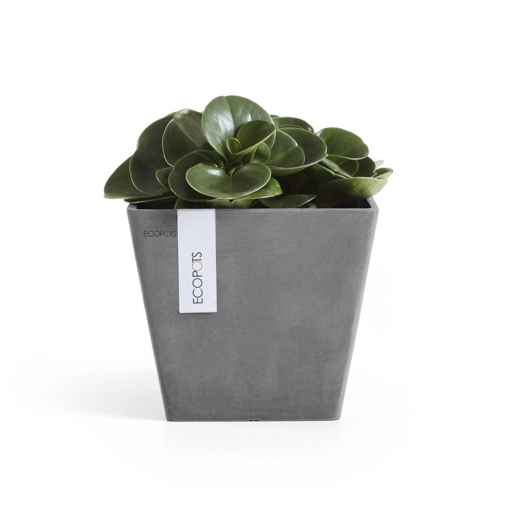 Ecopots - Pot Carré Rotterdam 20 Gris - 20 x 20 x H. 17,5 cm - 5,2 L ECOPOTS - Image 1