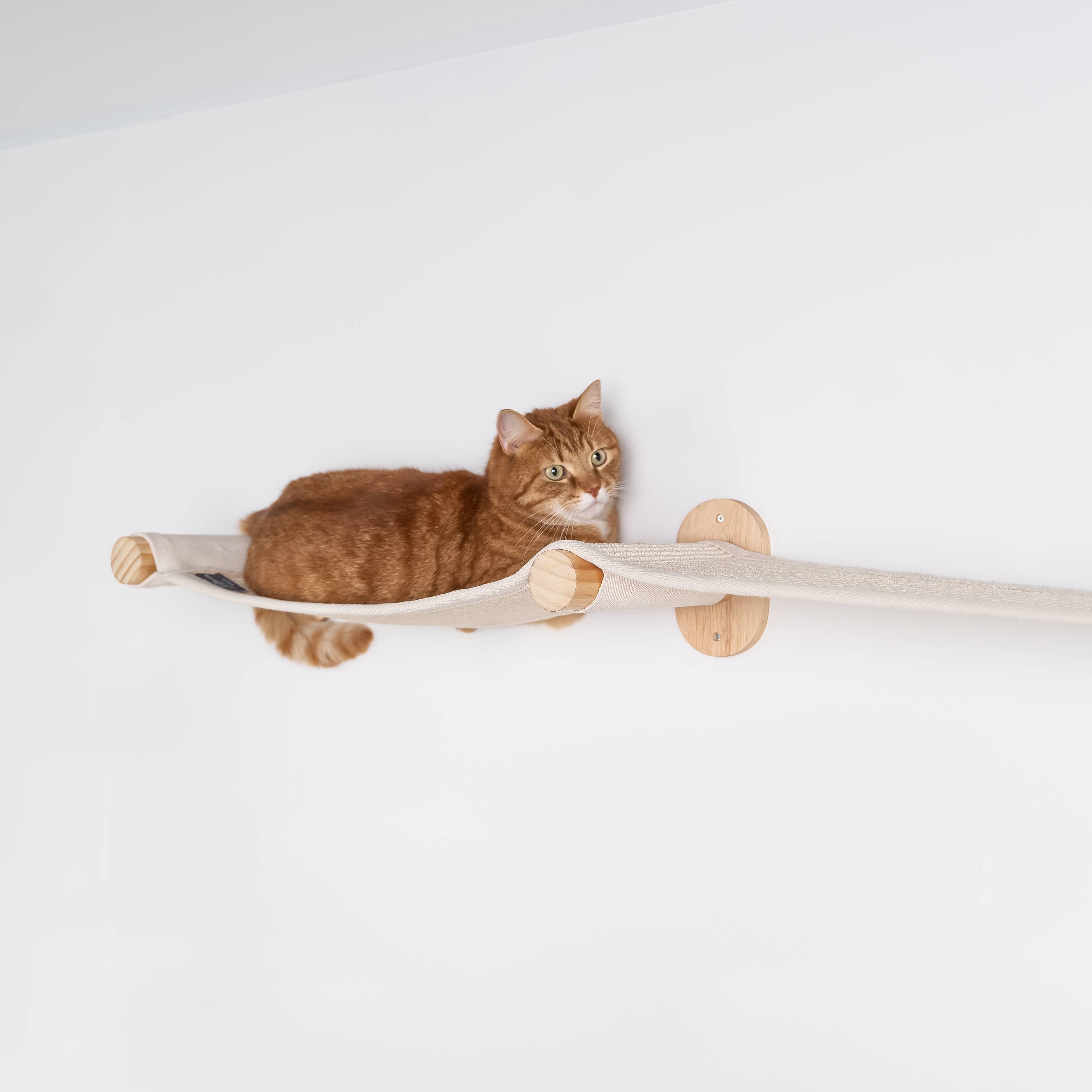 Rhr Concepts Bv - Meuble de mur Mur d'escalade Chat - Pont de mur (Beige) - RHR Concepts BV - Image 2