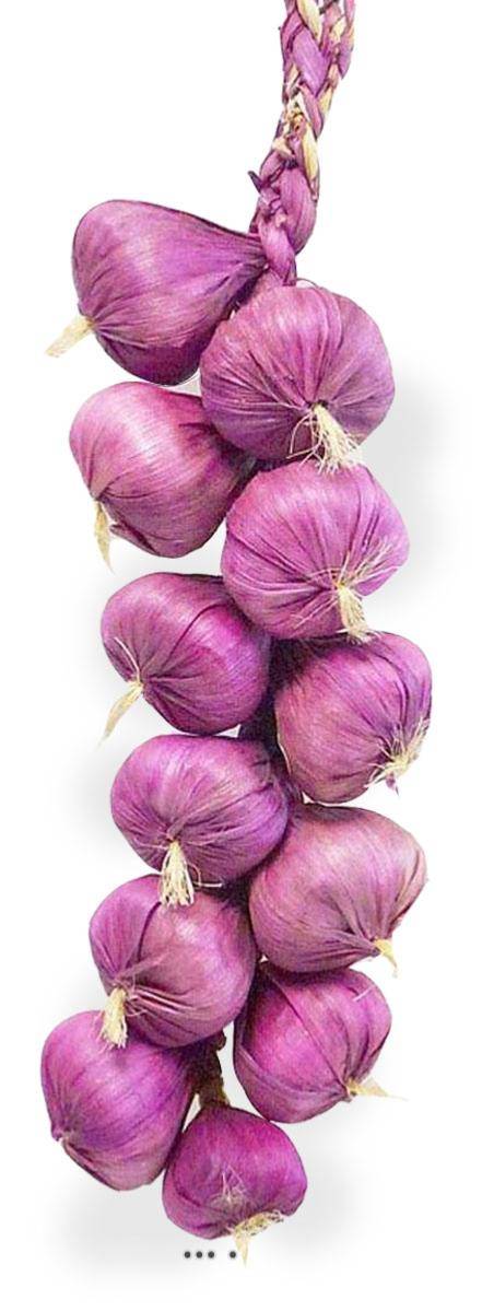 Artificielles - Tresse d'ail artificielle x10 têtes d'ail violet L 50 cm - Image 1