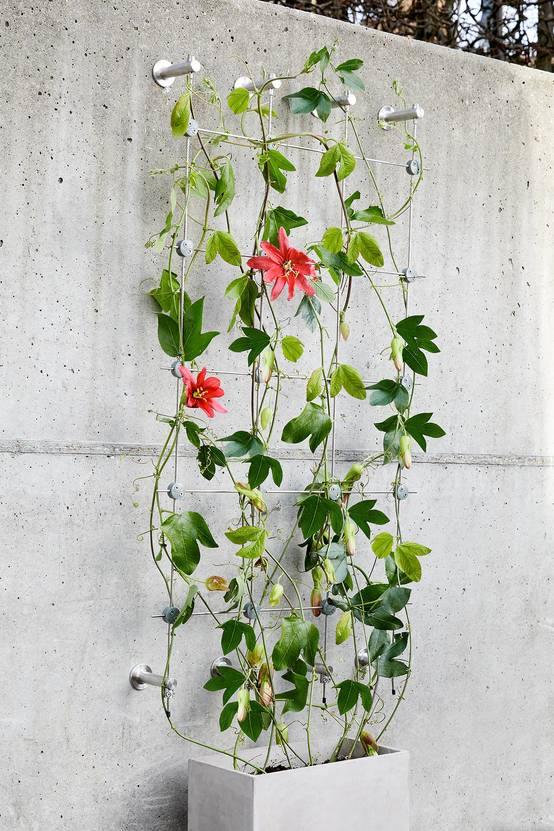 Autre - Greenkit 1 Support plantes grimpantes treillis acier inoxydable 100 X 2000mm Jakob Rope Systems - Image 2