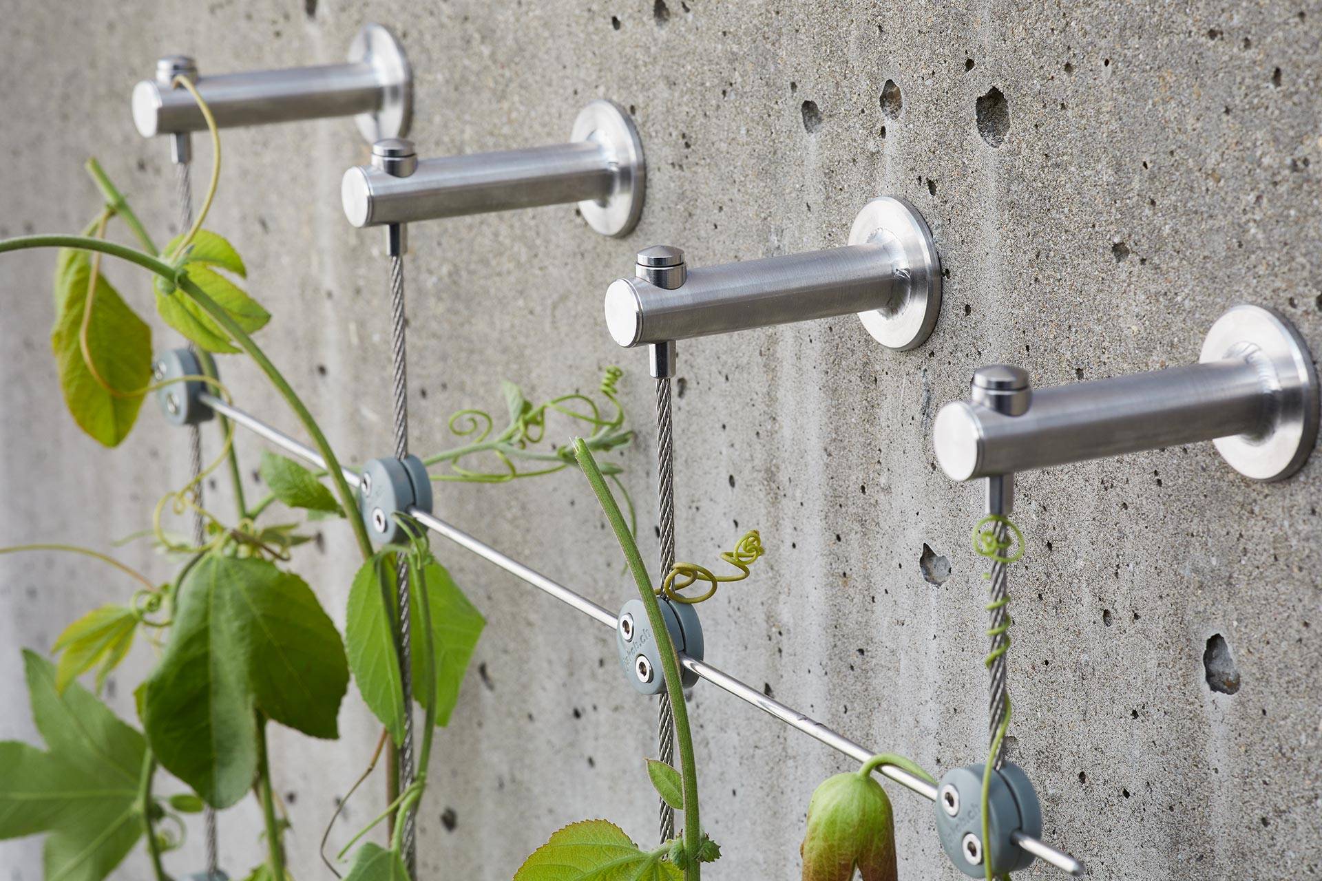 Autre - Greenkit 1 Support plantes grimpantes treillis acier inoxydable 100 X 2000mm Jakob Rope Systems - Image 3