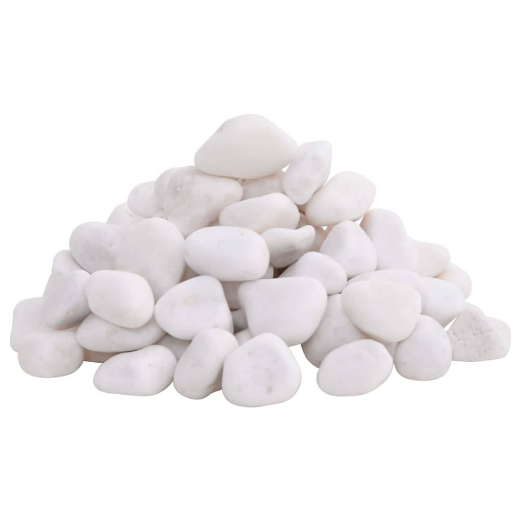 Galets Décoratifs Blancs Pierres Polies pour Jardin Paillage Déco Aquarium 2-5 cm 10 kg - ComfortXL Outdoor Living - Image 2