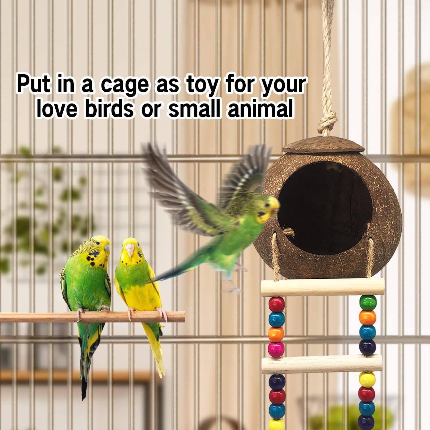 Nid et jouet pour oiseaux et hamsters avec échelle - Image 2