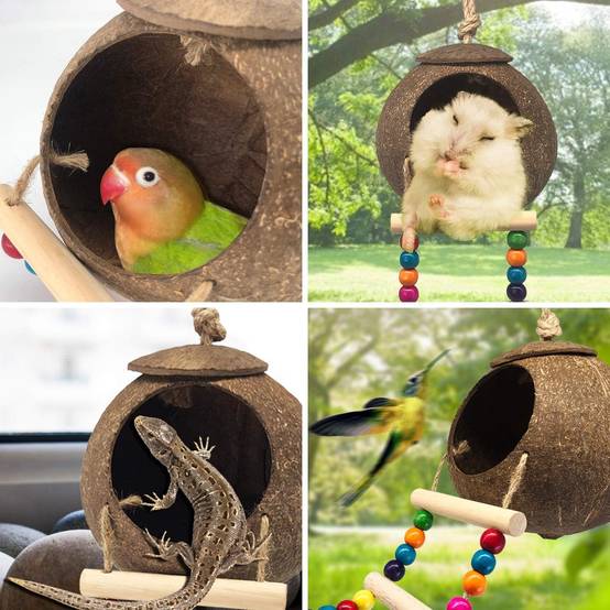 Nid et jouet pour oiseaux et hamsters avec échelle - Image 4