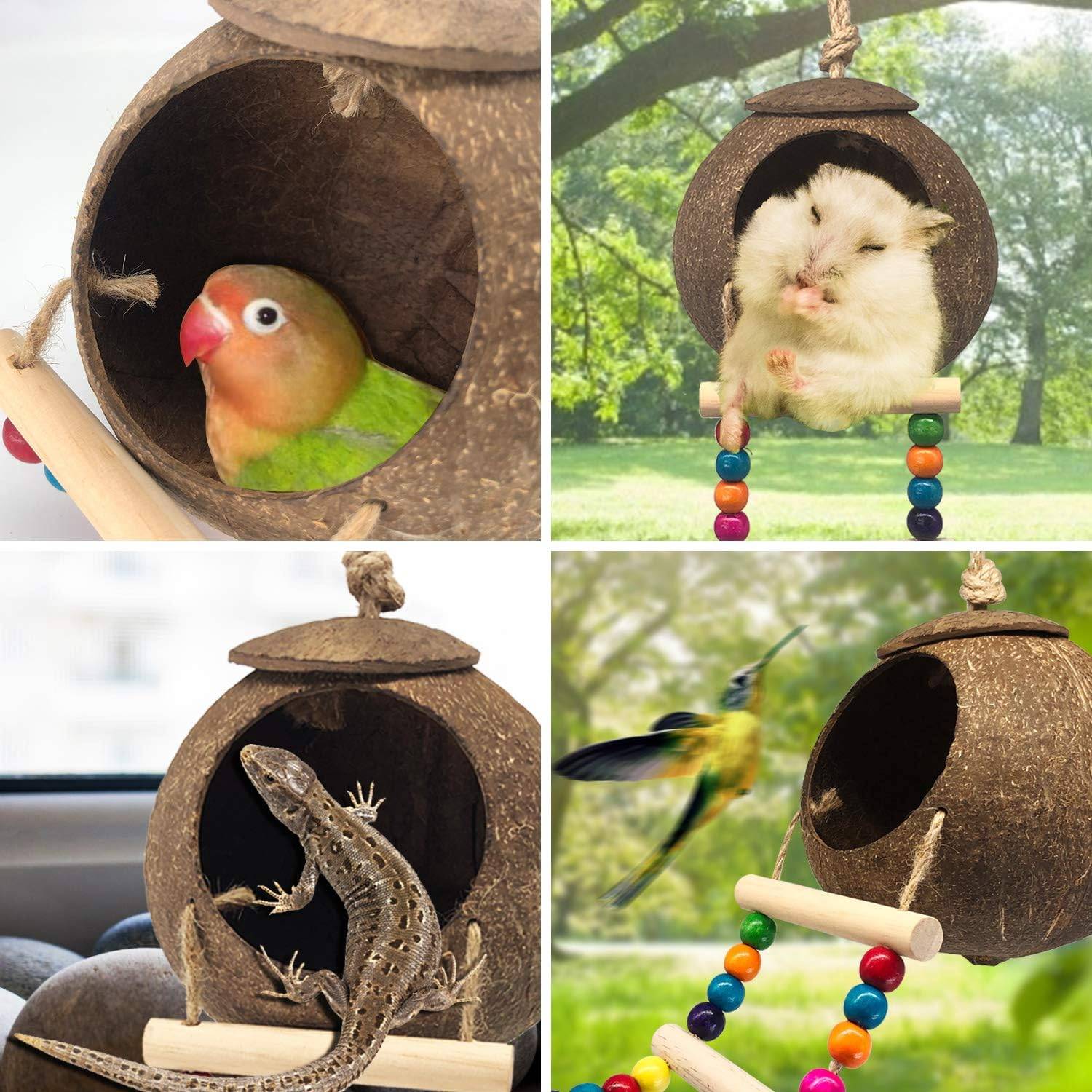 Nid et jouet pour oiseaux et hamsters avec échelle - Image 4