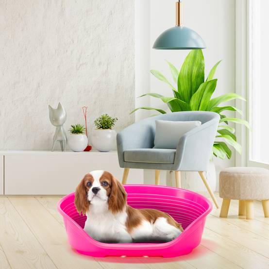Ferplast - FERPLAST - Panier Chien Panier Chat - Lit pour Chien en Plastique Medium - 100% Plastique Recyclé - Lit pou Chat Lavable - Respirant Antidérapant - - Image 4