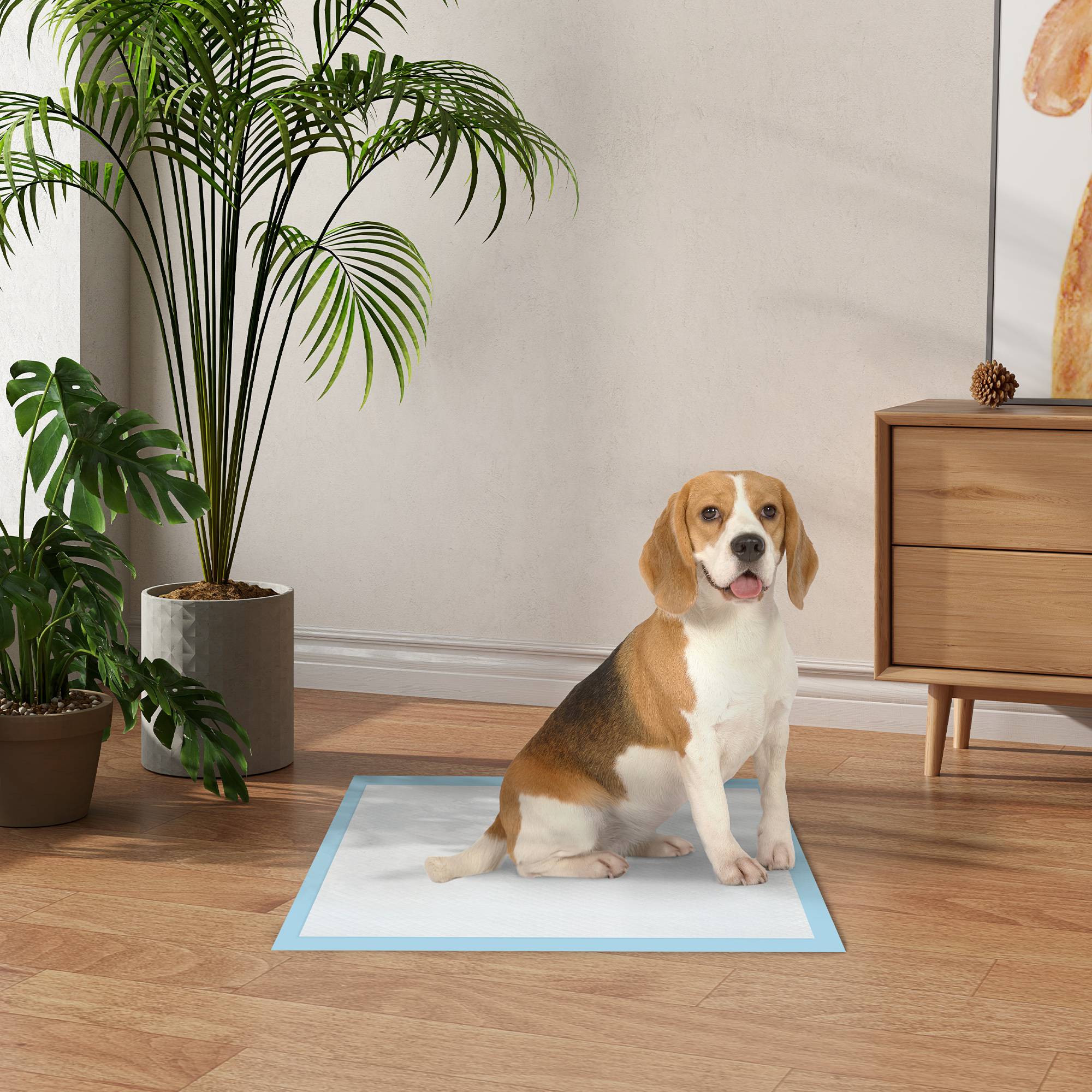 Sans Marque - Lot de 80 tapis d'entraînement pour chien, étanche, 6 couches avec surface à séchage rapide, protection, 60 x 60 cm - Image 4