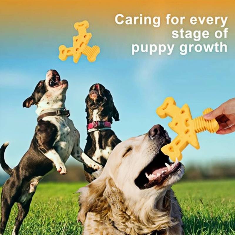 DtopbuyAge - Jouets à Mâcher Non Toxiques Indestructibles pour Chiens Agressifs de Grande Race - DtopbuyAge - Image 3