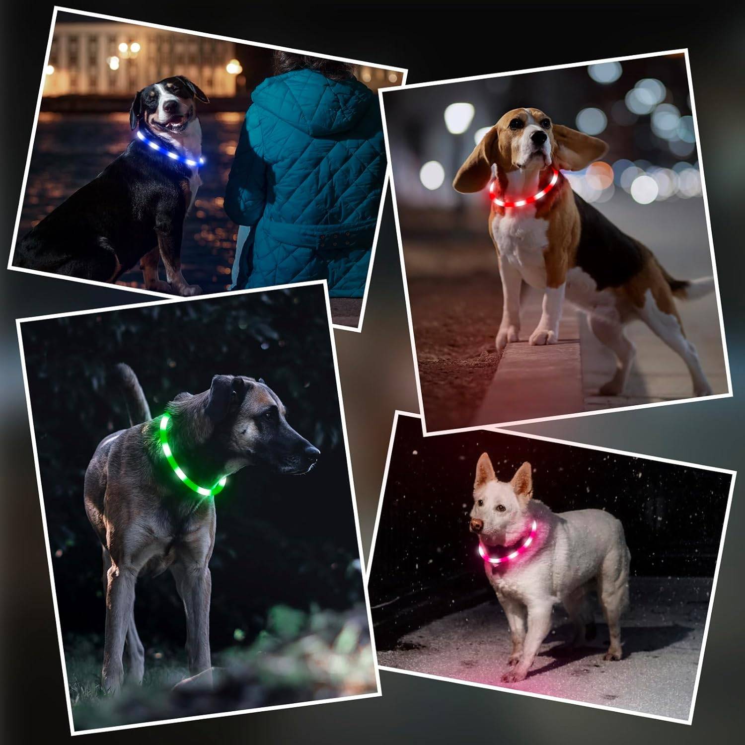 Colliers lumineux pour chien - Lot de 2 colliers LED rechargeables et clignotants pour promenades nocturnes (rose et bleu)-Lytech - Image 7