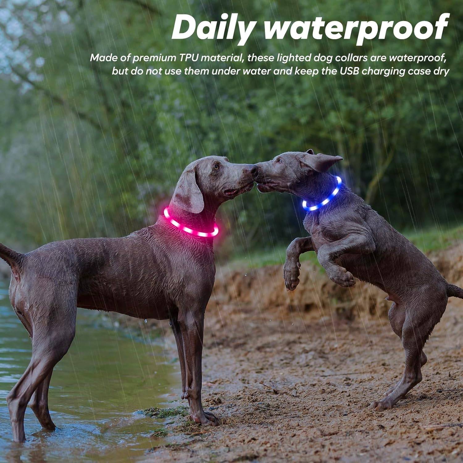 Colliers lumineux pour chien - Lot de 2 colliers LED rechargeables et clignotants pour promenades nocturnes (rose et bleu)-Lytech - Image 5
