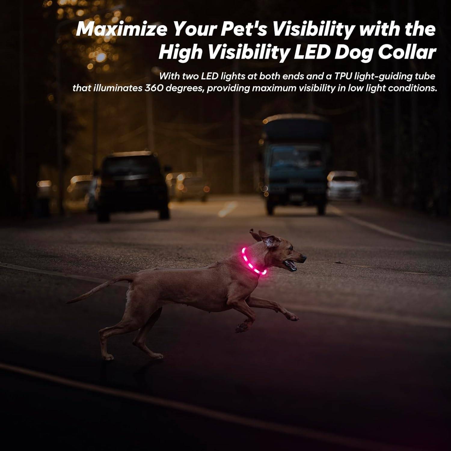 Colliers lumineux pour chien - Lot de 2 colliers LED rechargeables et clignotants pour promenades nocturnes (rose et bleu)-Lytech - Image 6