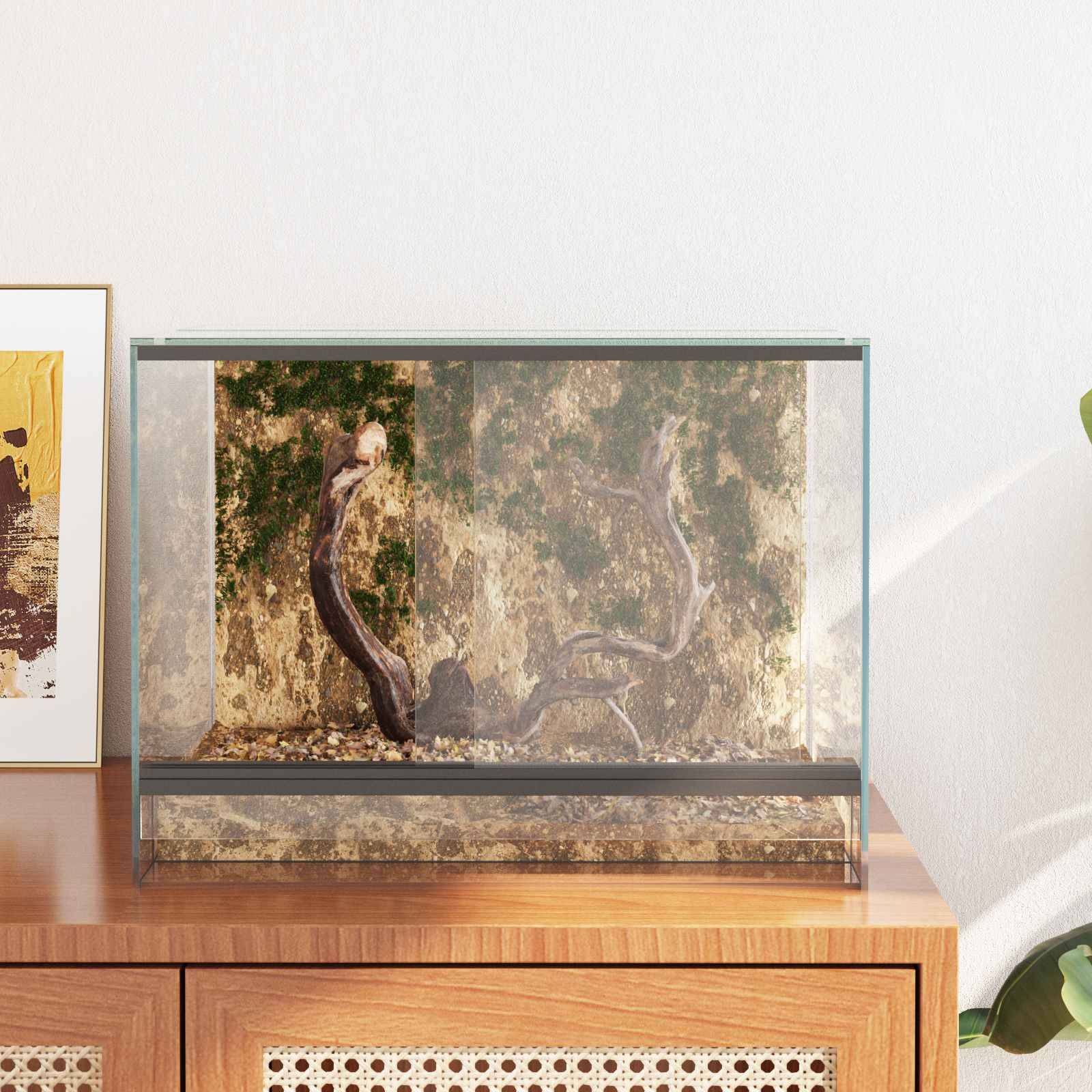 Vidaxl - Terrarium avec stockage Transparent 40 x 30 x 30 cm Verre vidaXL 42020389 - Image 5
