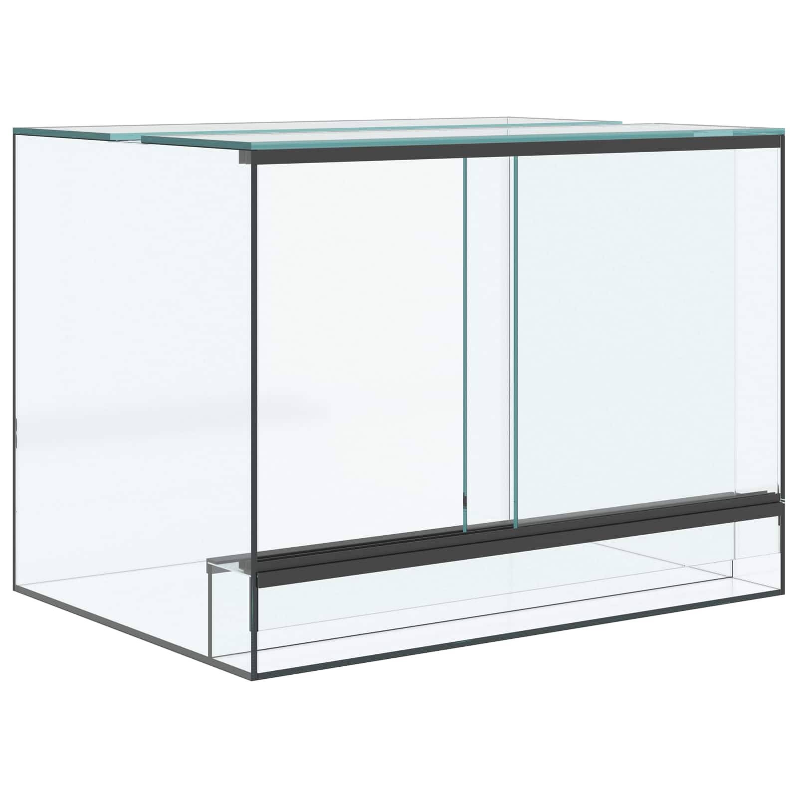 Vidaxl - Terrarium avec stockage Transparent 40 x 30 x 30 cm Verre vidaXL 42020389 - Image 2