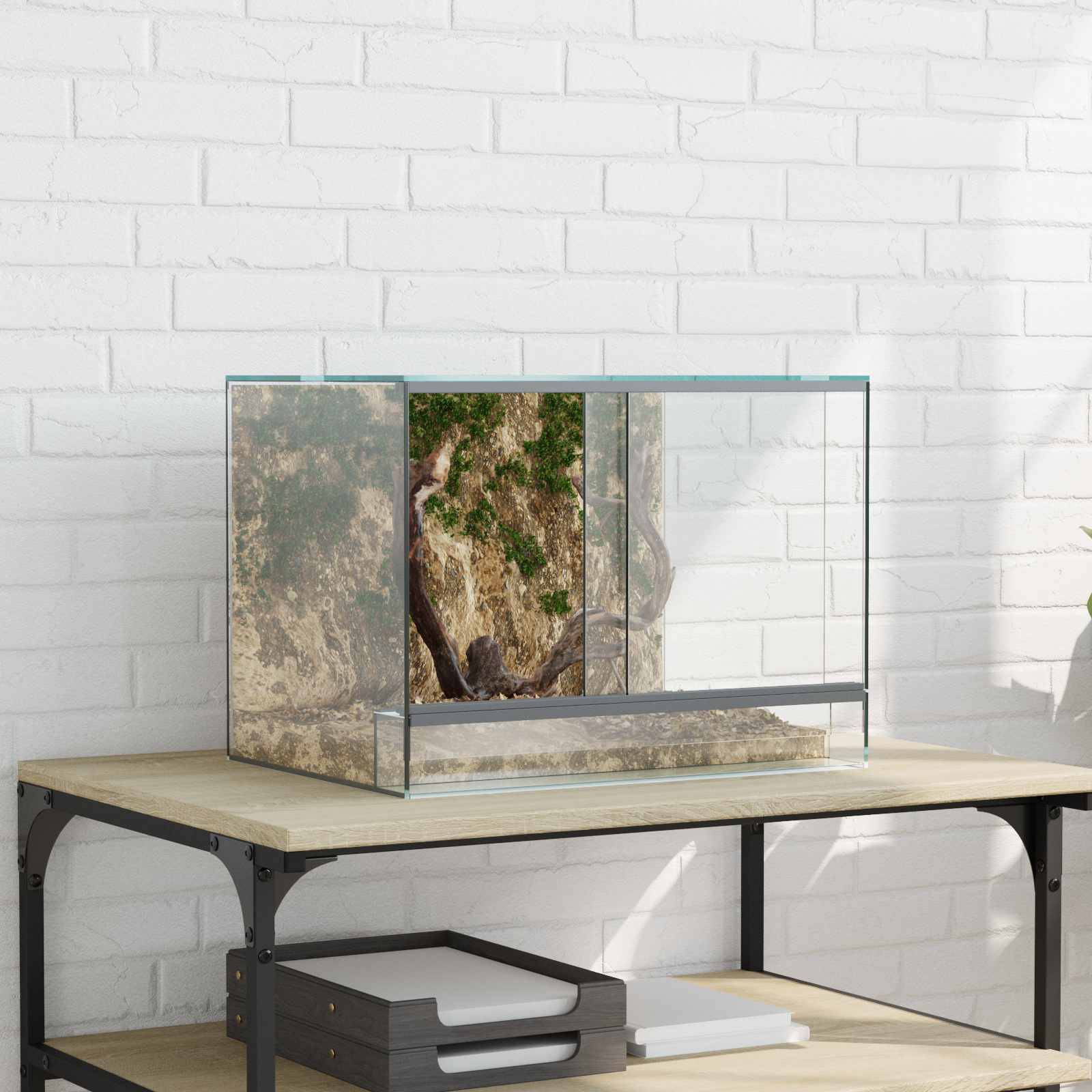 Vidaxl - Terrarium avec stockage Transparent 40 x 30 x 30 cm Verre vidaXL 42020389 - Image 1